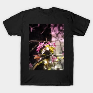 red Malus 'Radiant' crab apple blossoms #5 T-Shirt